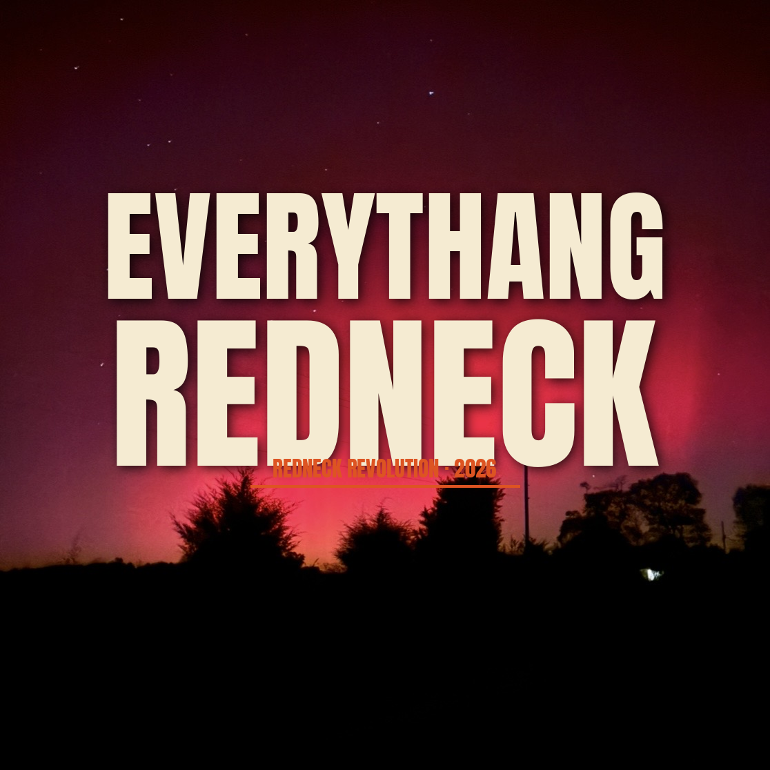 Redneck Revolution album cover